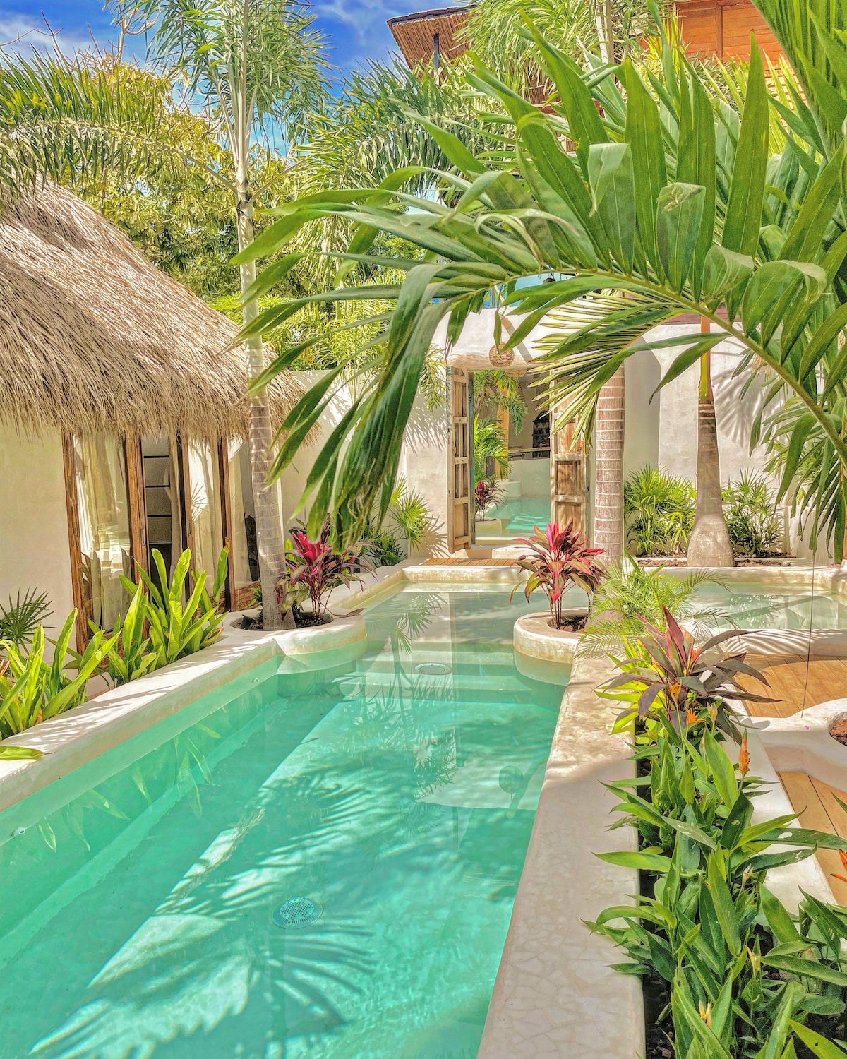 Oasis Alegria - Miniatura 8