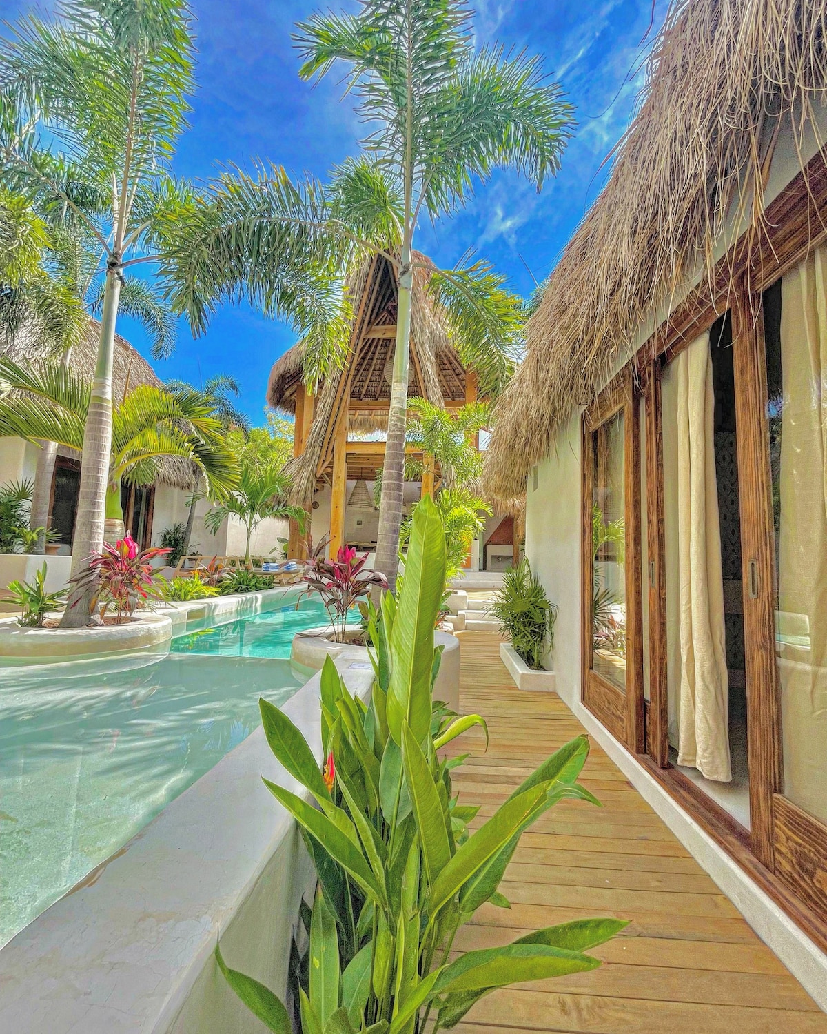 Oasis Alegria - Miniatura 9