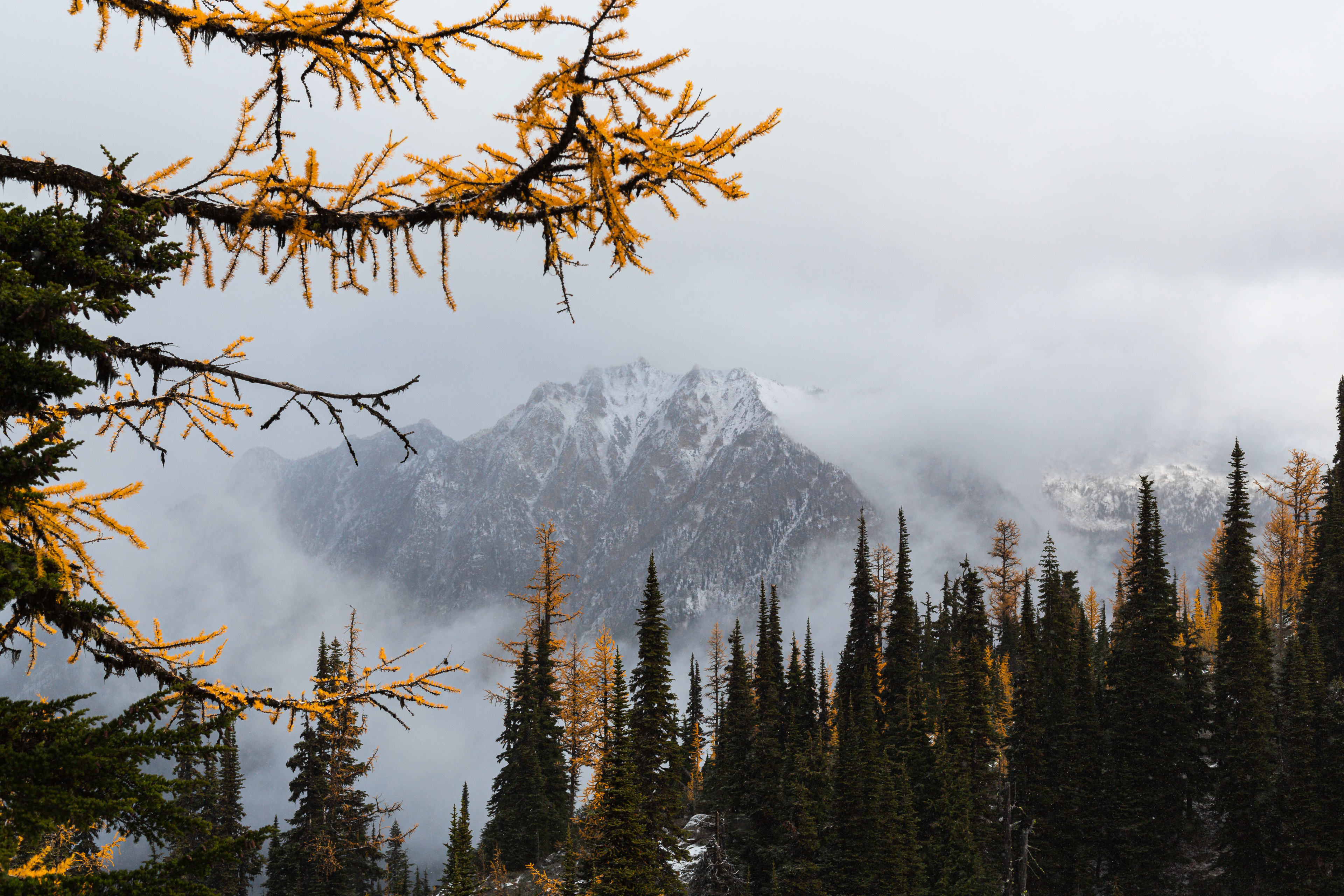 Autumn in the Alps