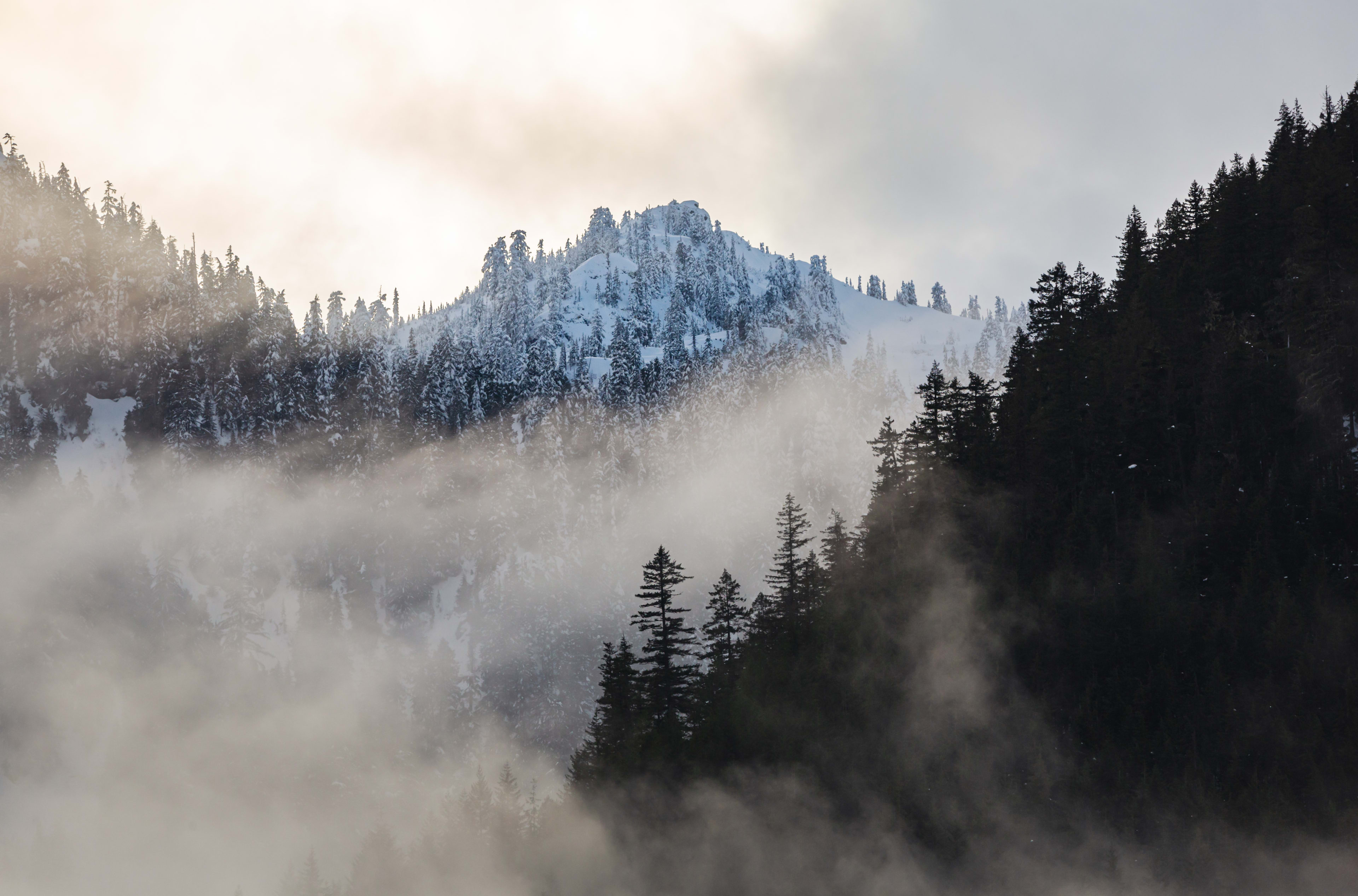 First Snow