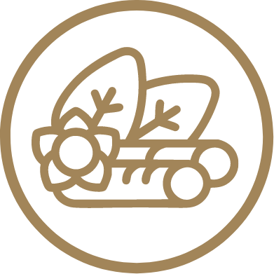 Raíz de ashwagandha