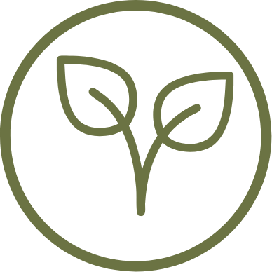 Maca amarilla, negra y roja