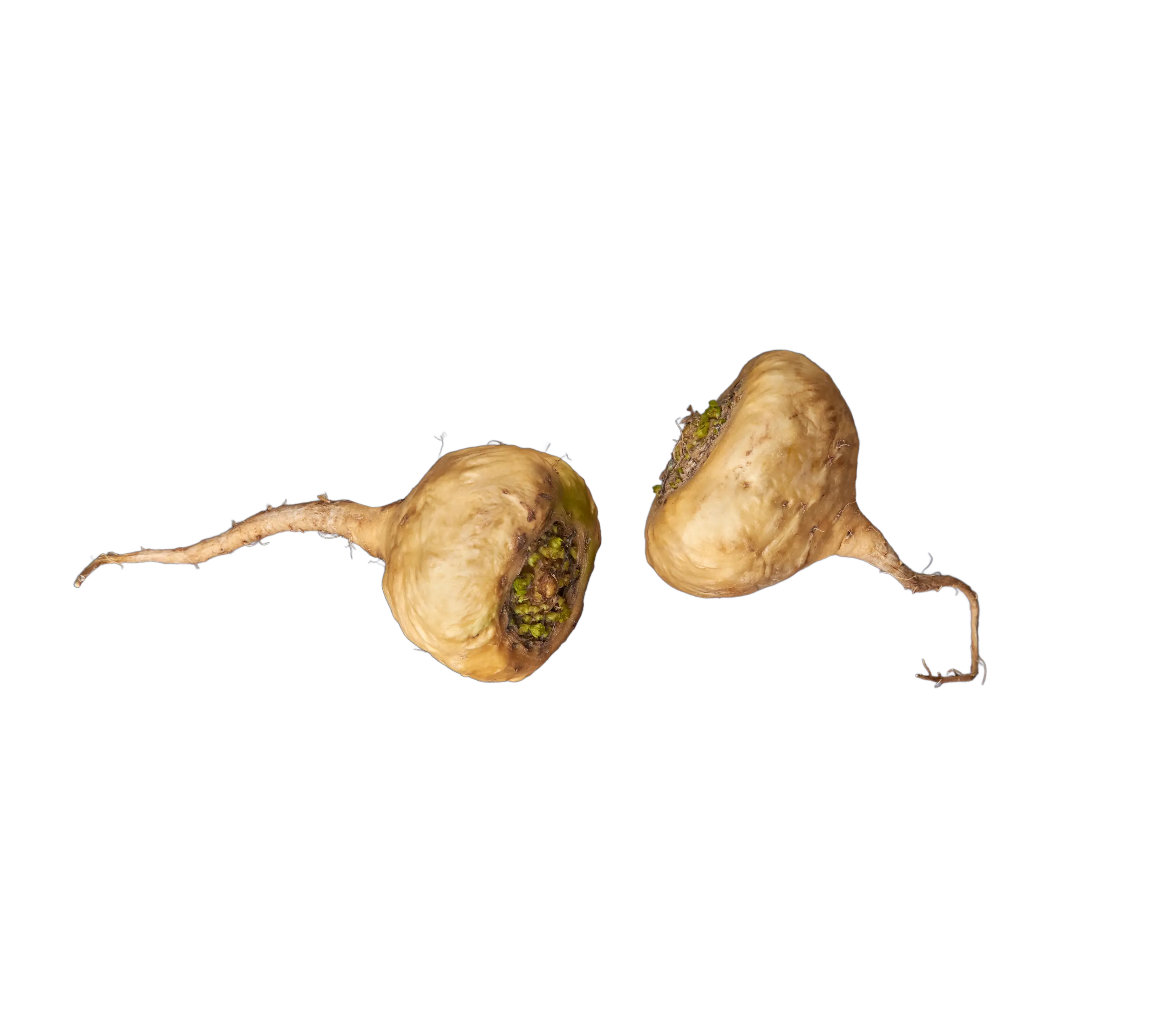 Bienestar celular movil