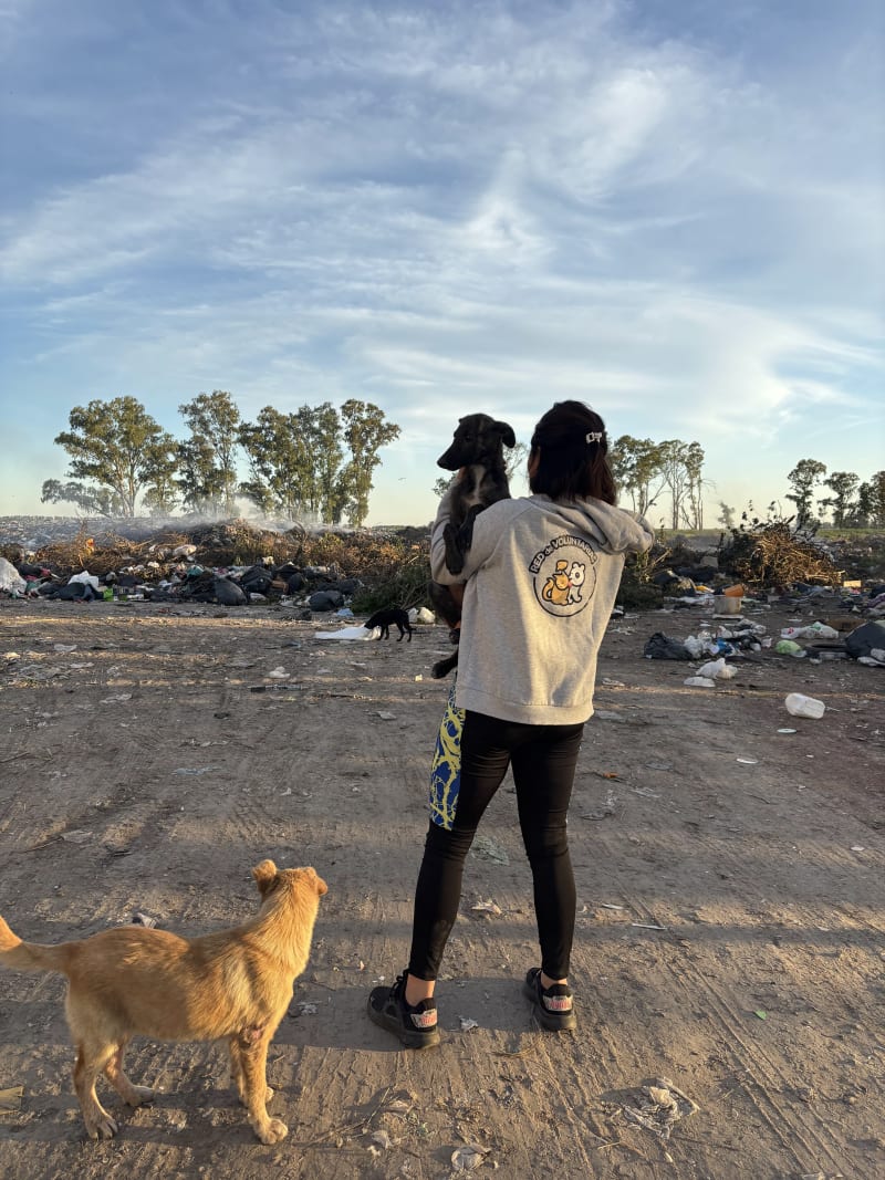 No más perros en el basural - imagen 1
