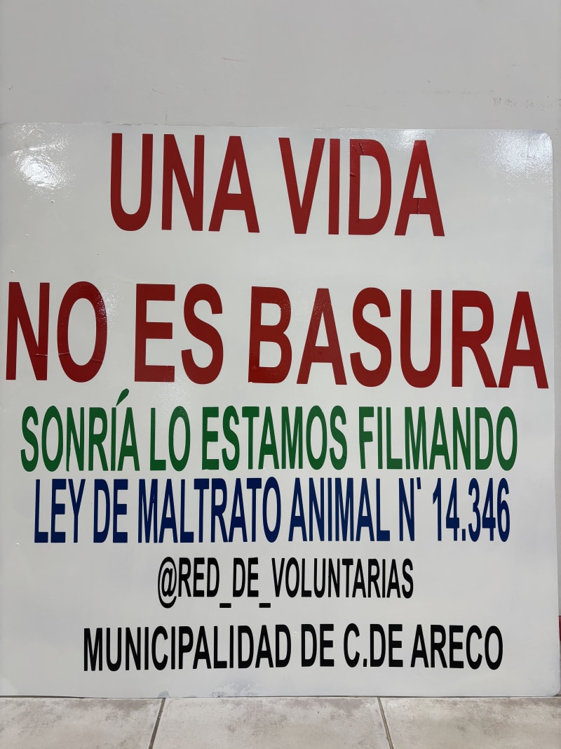 No más perros en el basural - imagen 9
