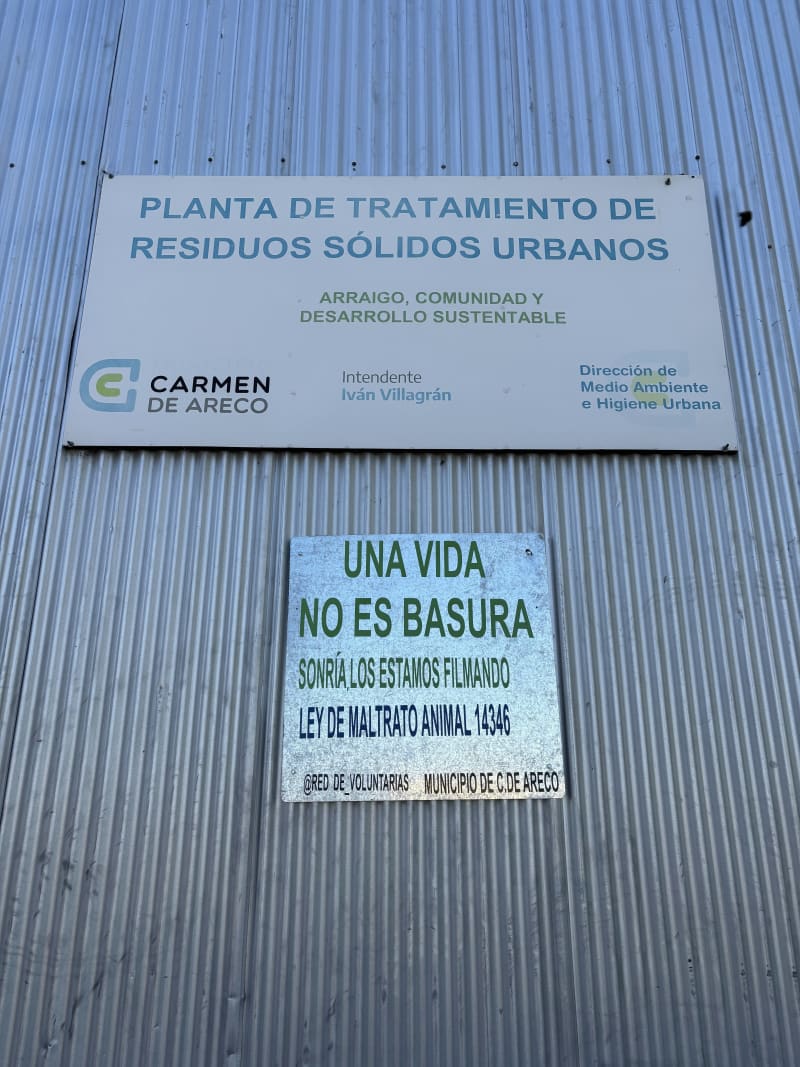 No más perros en el basural - imagen 11