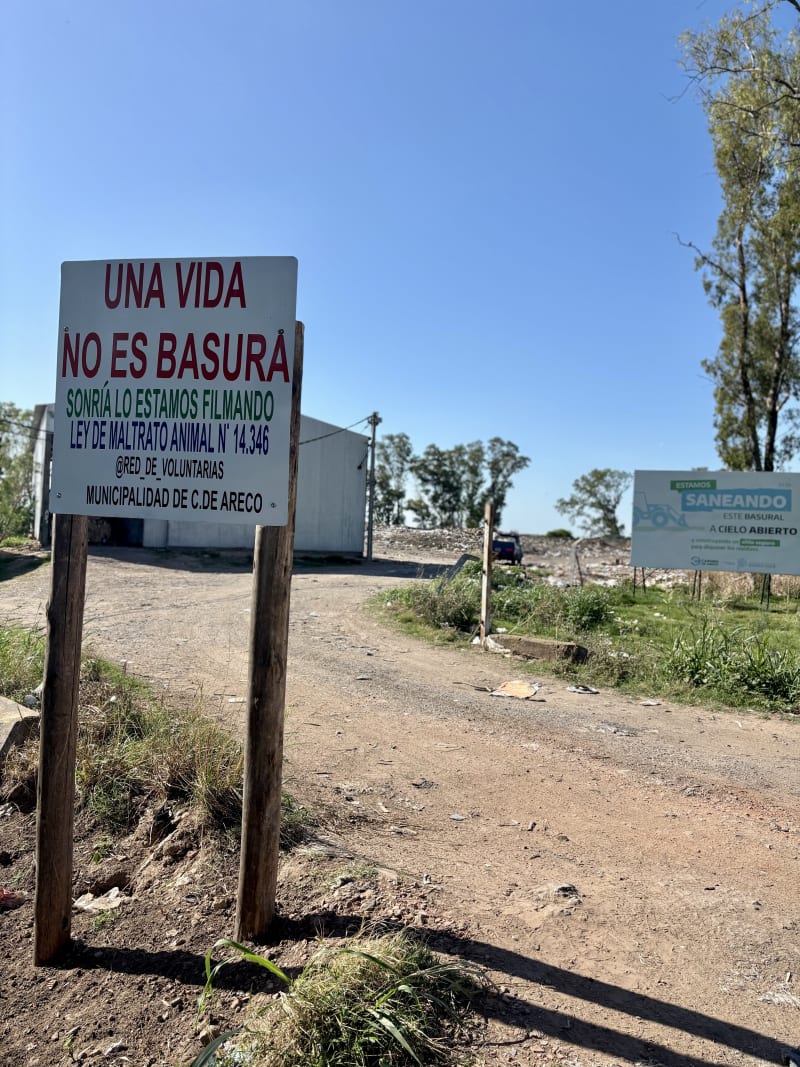 No más perros en el basural - imagen 12