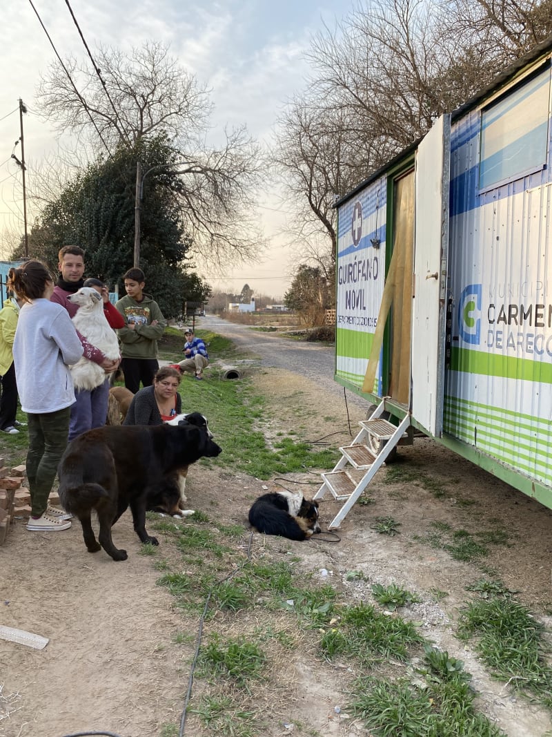 Castraciones por los barrios - imagen 5