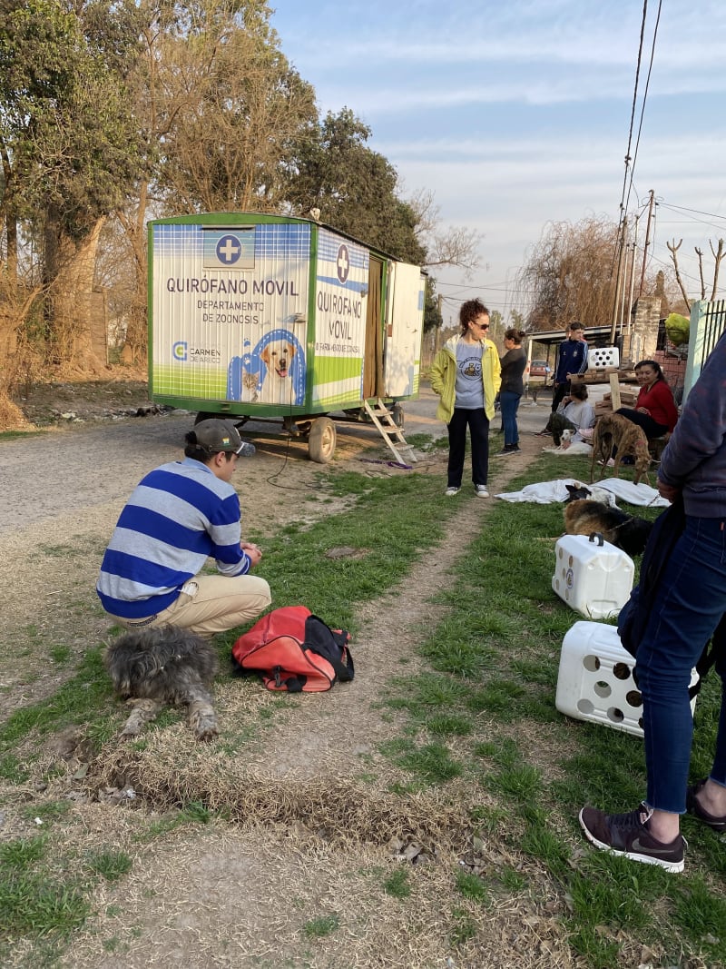 Castraciones por los barrios - imagen 7