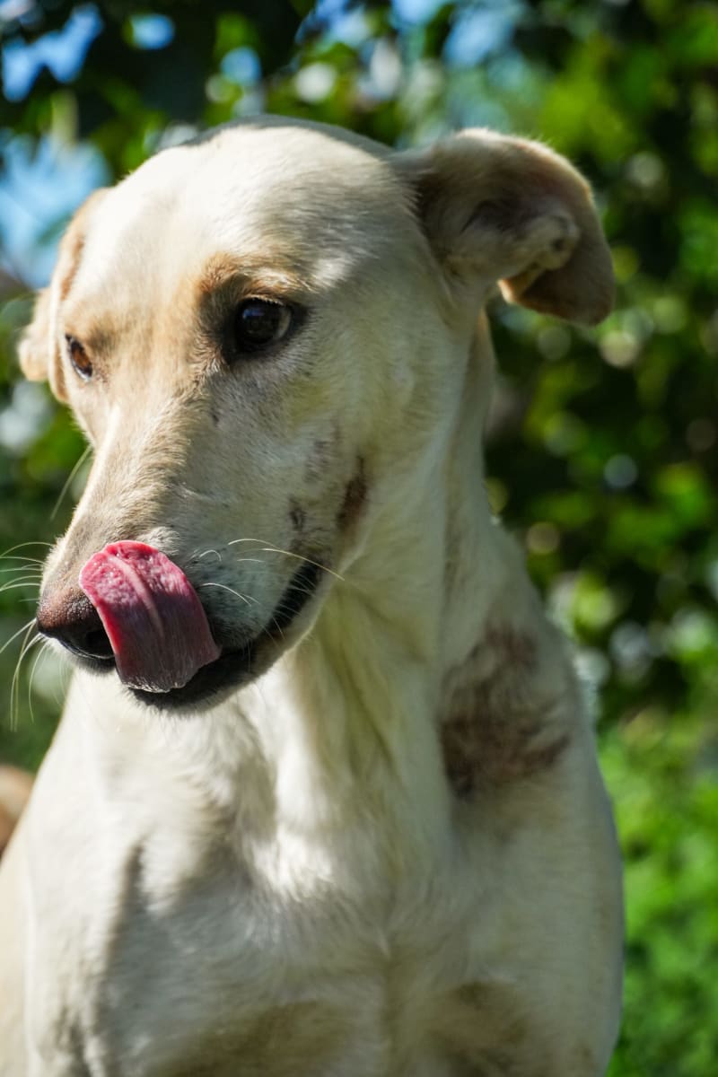 Foto de KALA