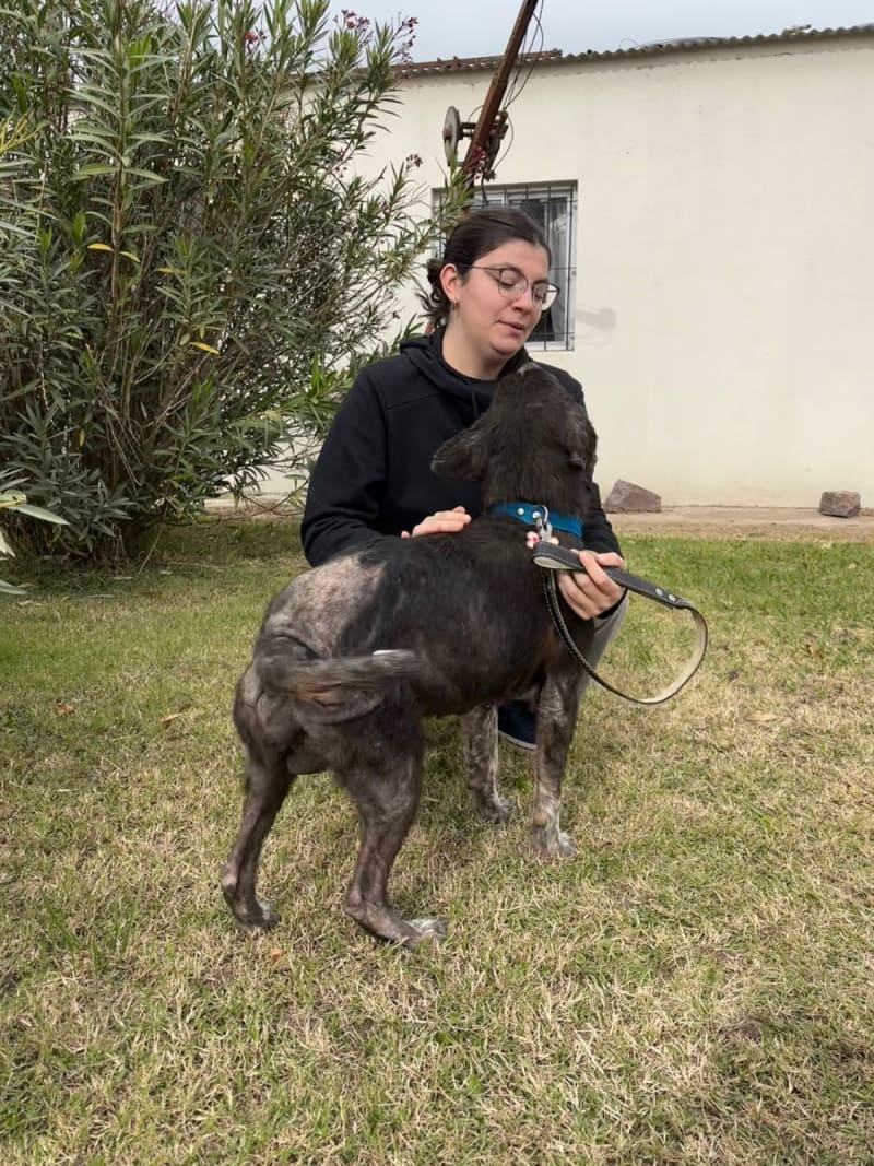 BURRO, ya en familia