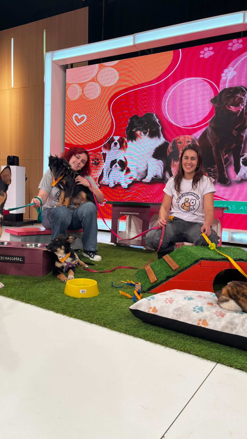 NUESTRO TRABAJO TRASCIENDE REDES 📺🐾 — foto 3