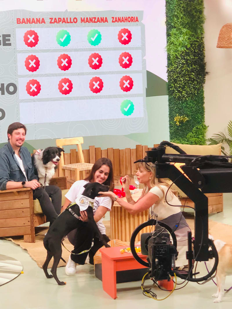 NUESTRO TRABAJO TRASCIENDE REDES 📺🐾 — foto 4