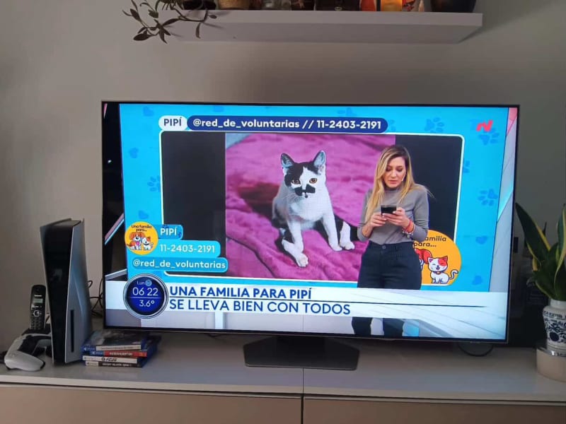 NUESTRO TRABAJO TRASCIENDE REDES 📺🐾 — foto 6