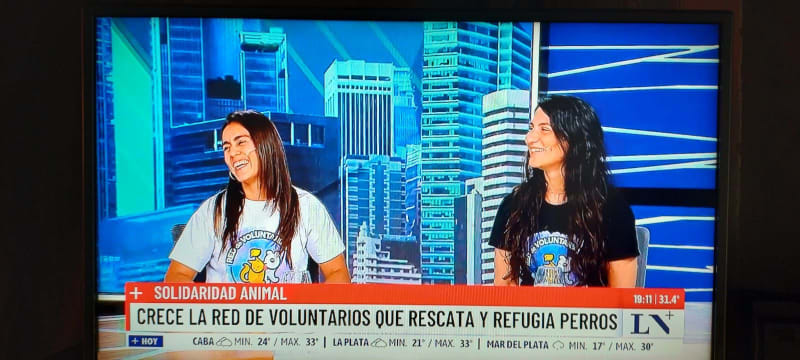 NUESTRO TRABAJO TRASCIENDE REDES 📺🐾 — foto 7
