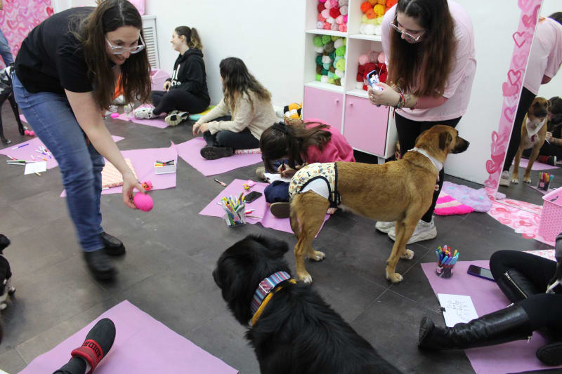 ARTE CON PERRITOS — foto 2