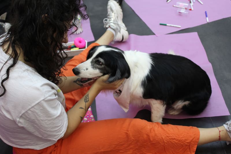 ARTE CON PERRITOS — foto 3