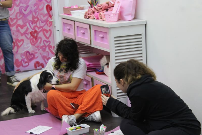 ARTE CON PERRITOS — foto 5