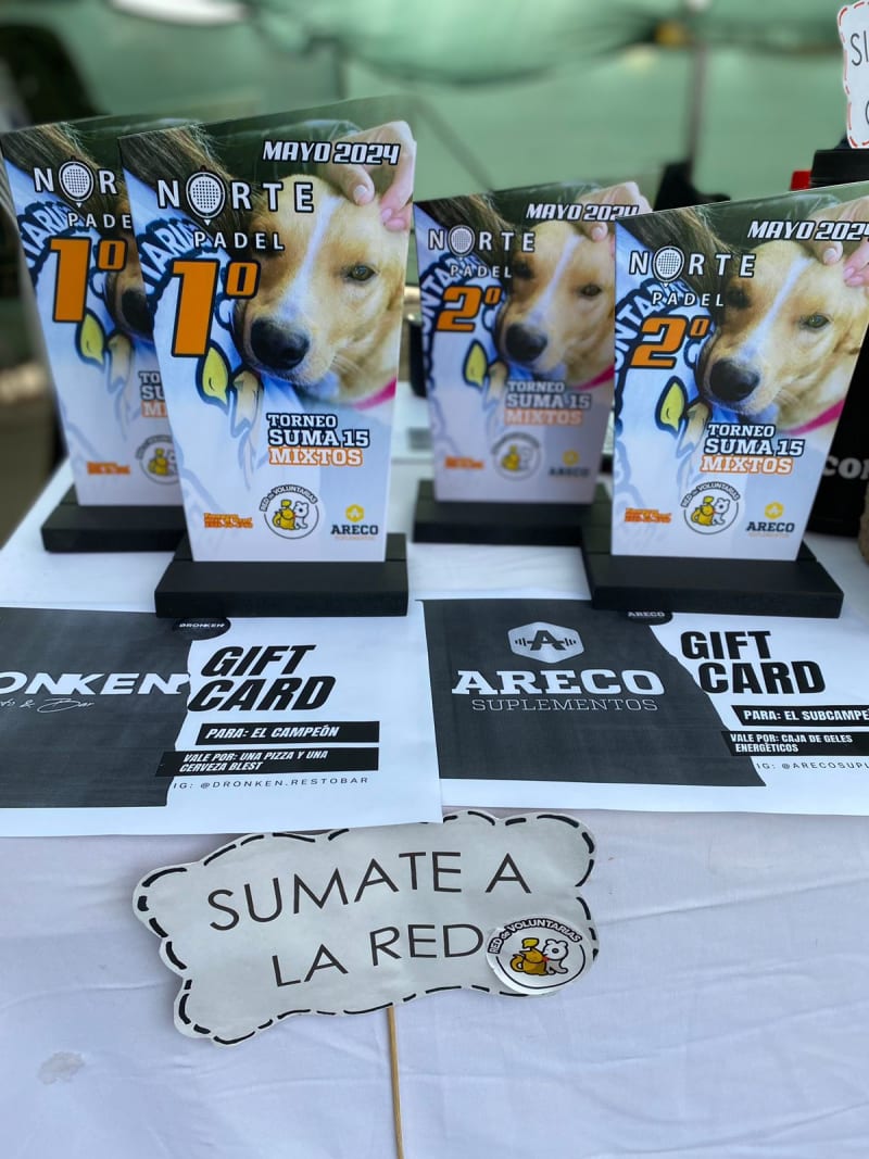 TORNEOS DE PADEL — foto 1