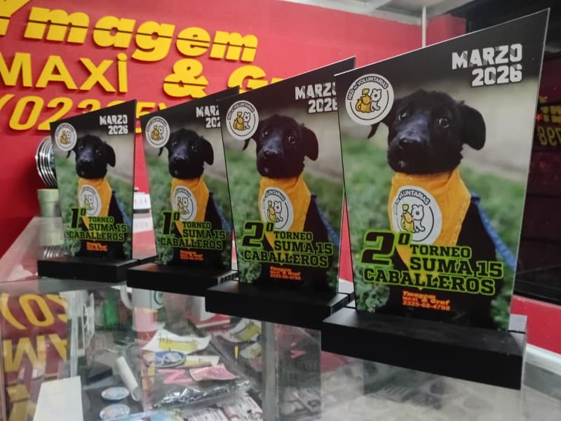 TORNEOS DE PADEL — foto 7