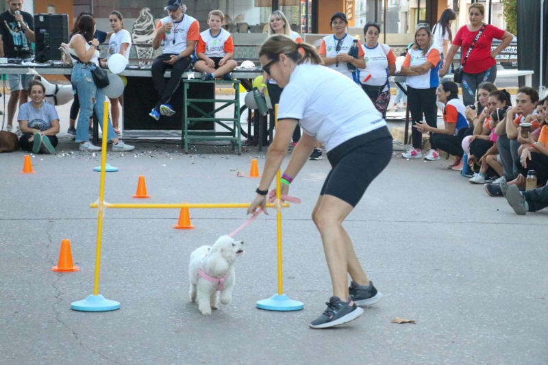 CORRECAMINATA — foto 6