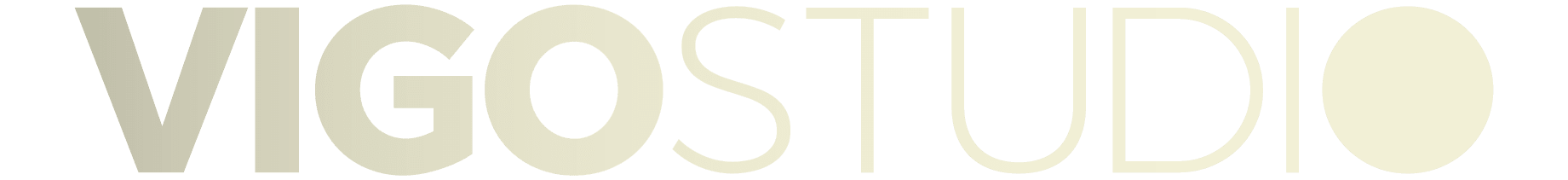 VigoStudio