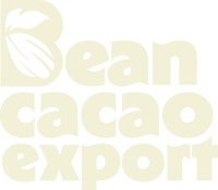 Bean Cacao Export