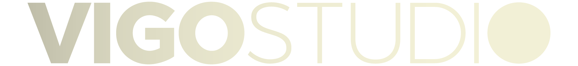 VigoStudio