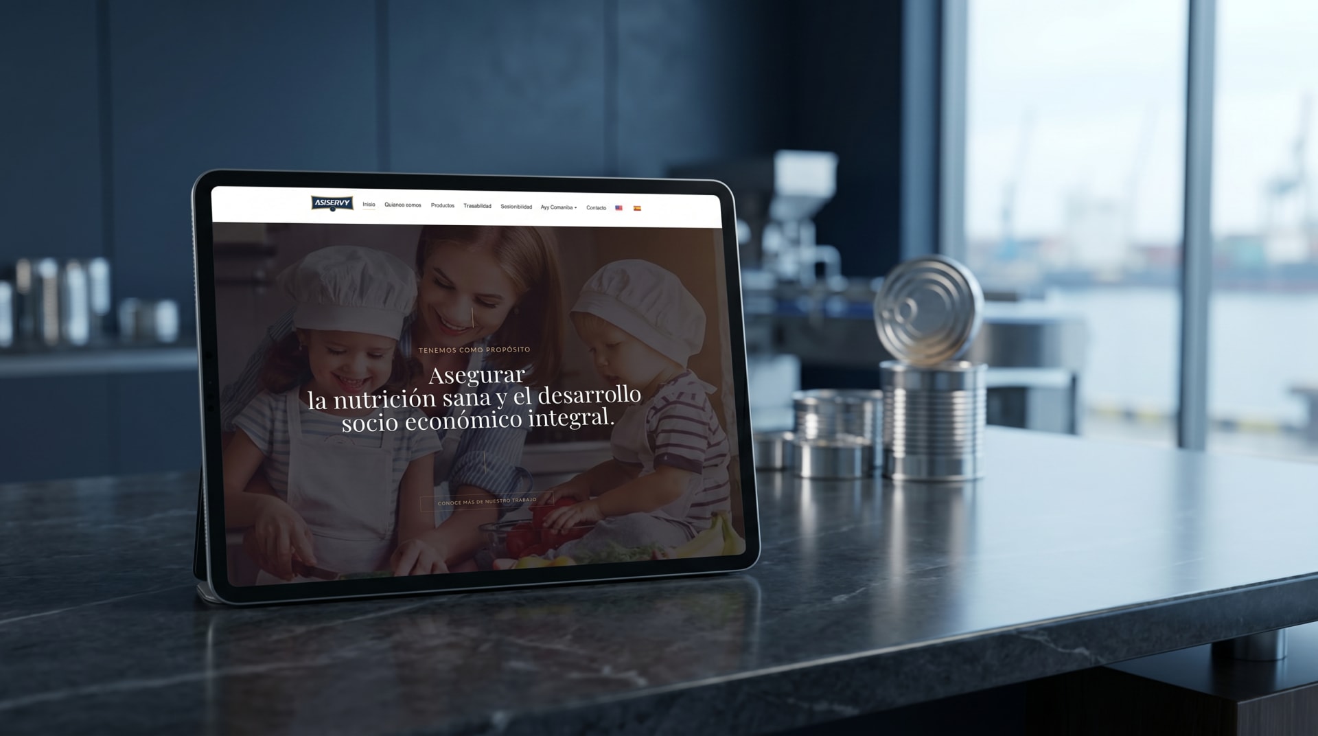 Web · Bilingüe para Asiservy — VigoStudio Manta Ecuador
