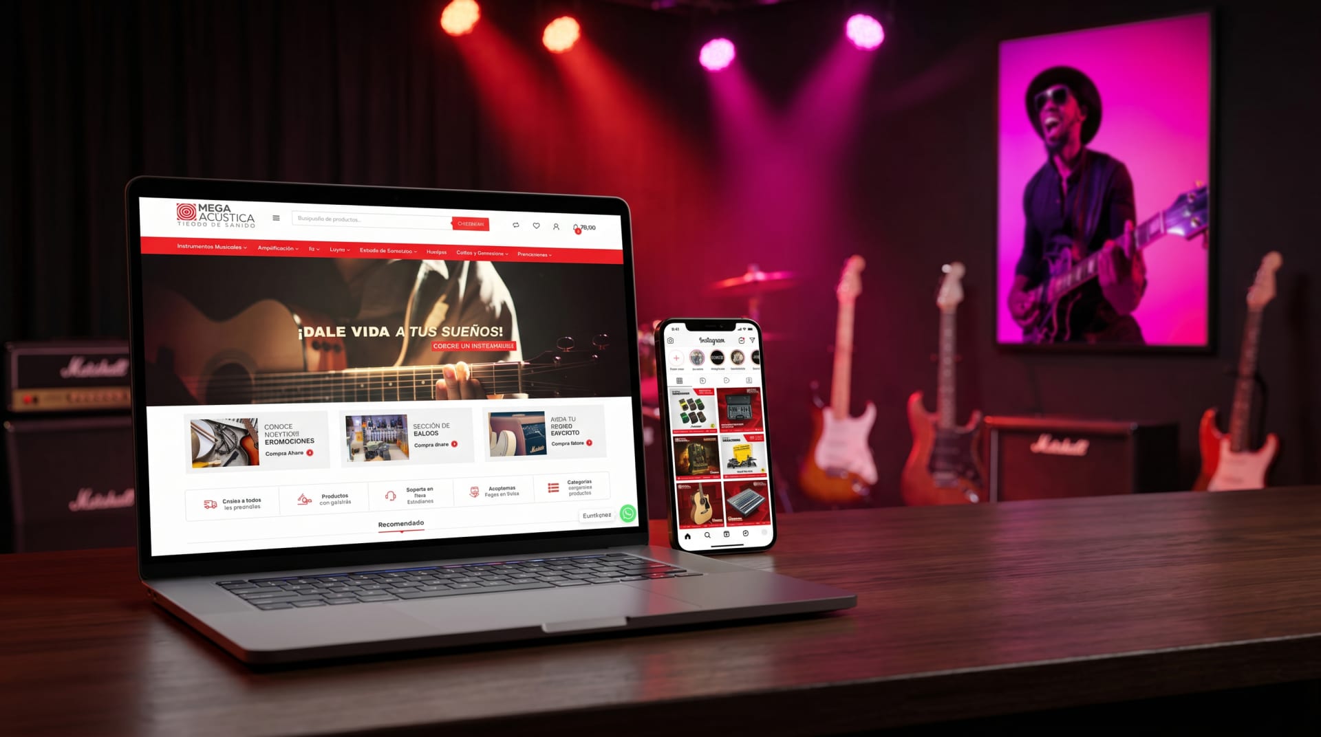 Ecommerce · Web para Megaacustica — VigoStudio Manta Ecuador