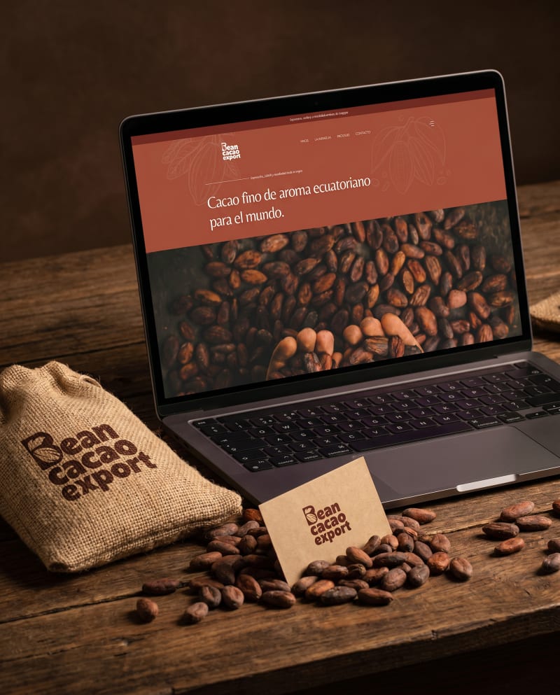 Project for Bean Cacao Export — VigoStudio digital agency Ecuador