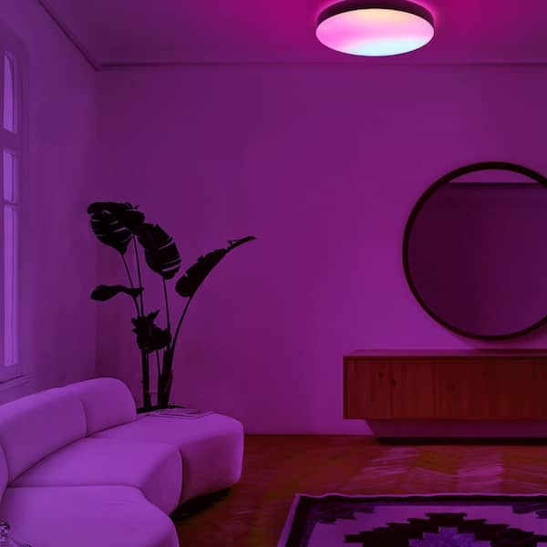 15 in. Matte Black Indoor Selectable LED Flush Mount Multi-Color Smart WiFi Ceiling Light Works Alexa/Hey Google/HomeKit