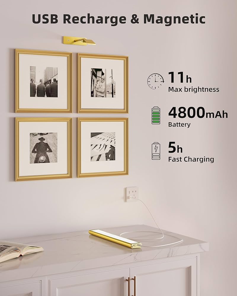 EZVALO Picture Light for Wall, 4800mAh Rechargeable Wireless Remote, 16in Dimmable Magnetic LED Art Display Light with 3 Color Temperatures,