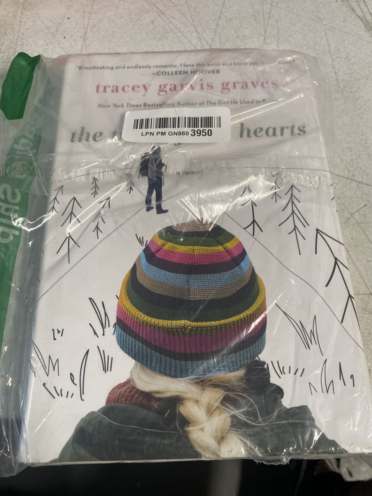 The Trail of Lost Hearts by Tracey Garvis Graves