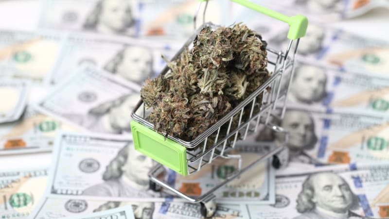 6 Tips on How to Start a Cannabis Delivery Service in 2024