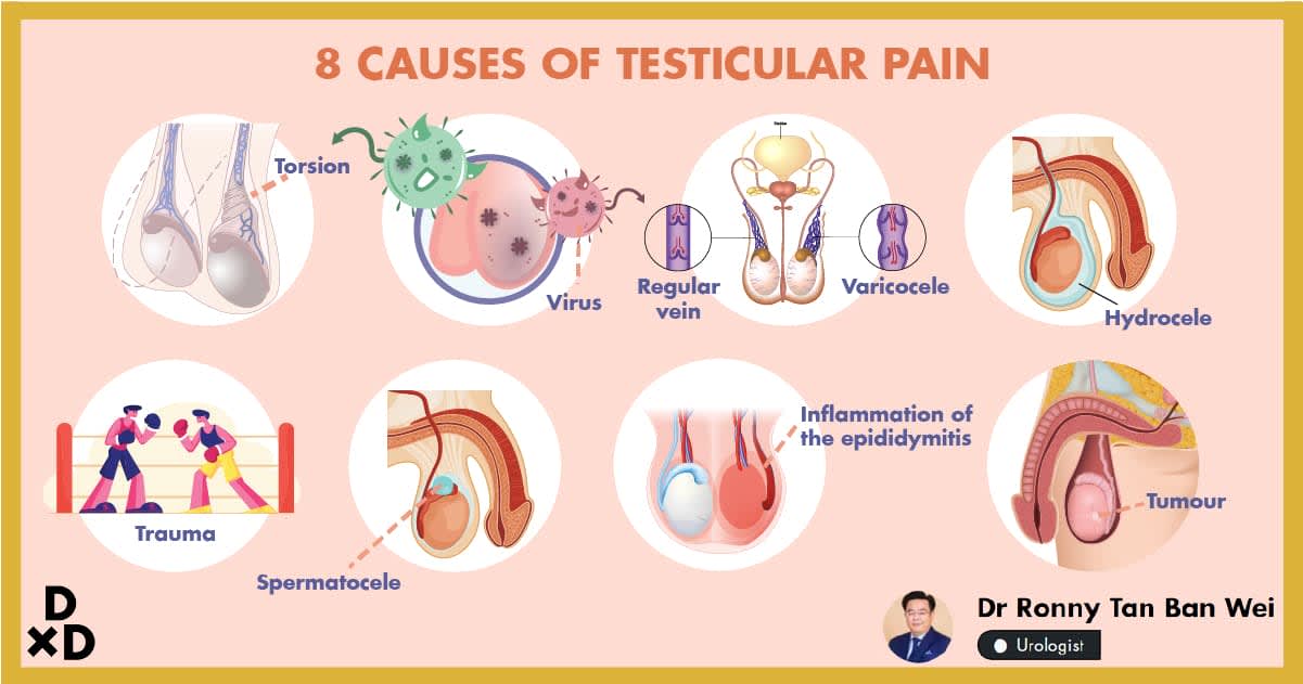 8 Causes Of Testicular Pain Explained By A Urologist