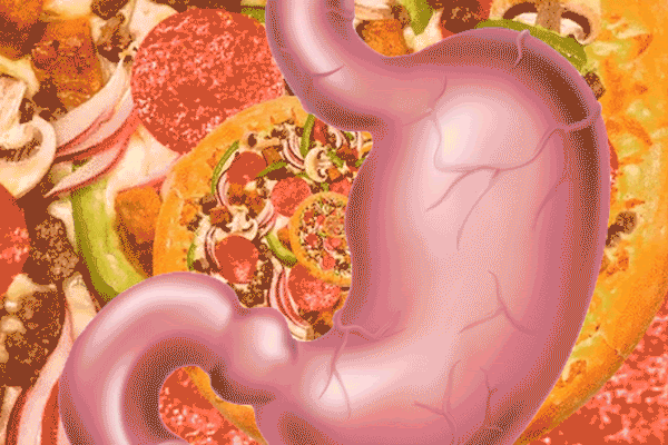Grow a human steak at home