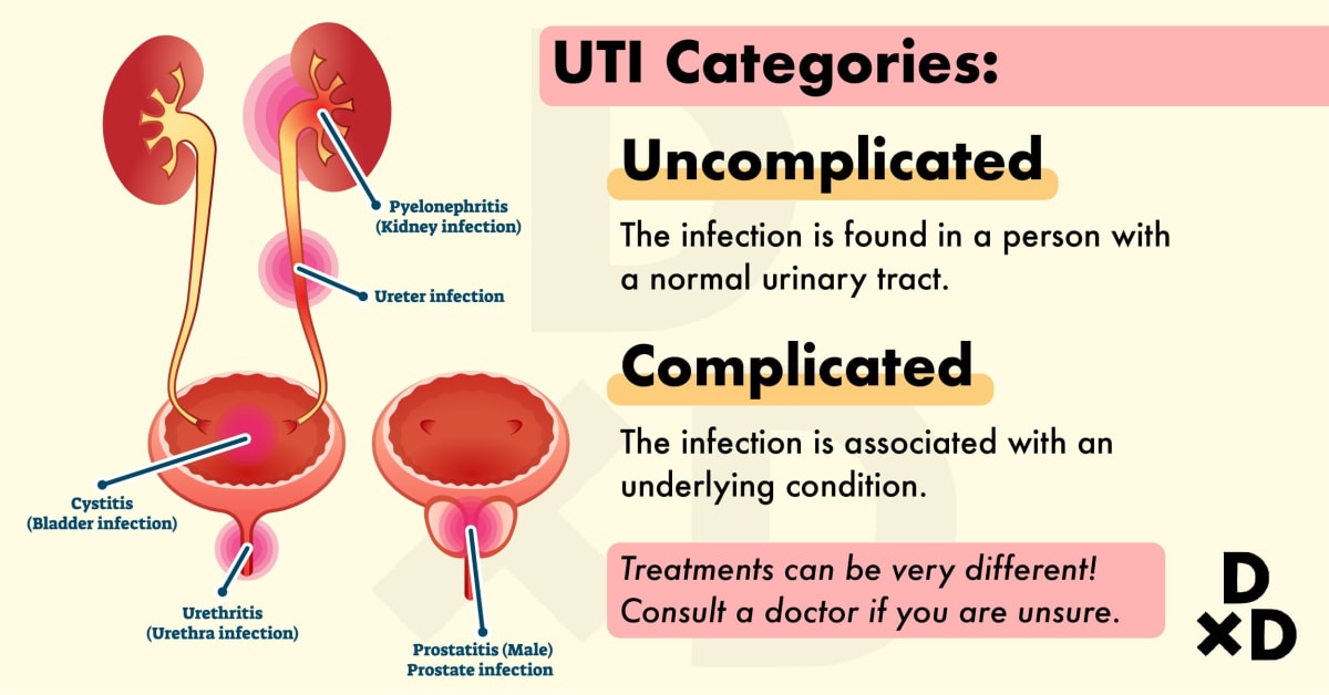 Does It Hurt When You Pee? You May Have a Urinary Tract ...