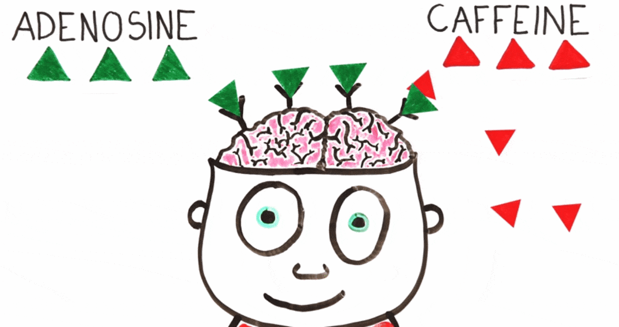 5 Hidden Sources Of Caffeine (#2 Will Surprise You!) undefined