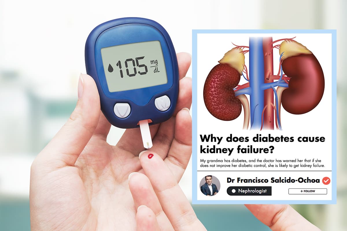 does-diabetes-affect-your-kidneys-diabeteswalls