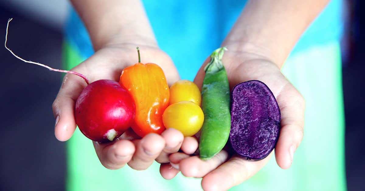 woman holding on to an assortment of vegetables