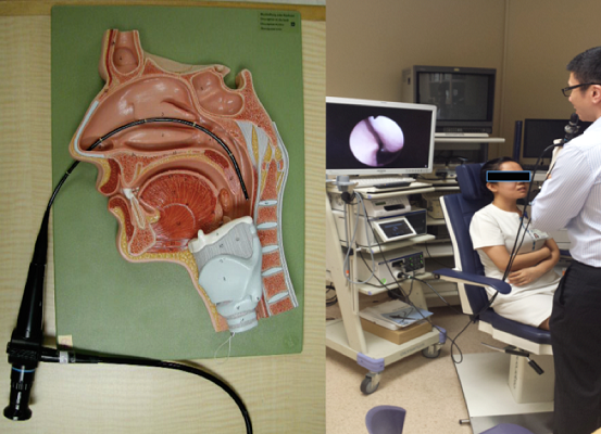 Laryngopharyngeal reflux test