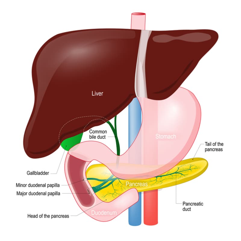 gallbladder singapore