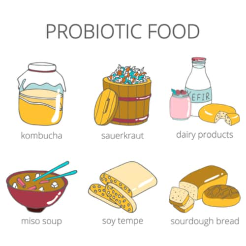 dietary probiotics singapore