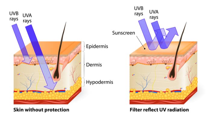 UV rays from sun to skin