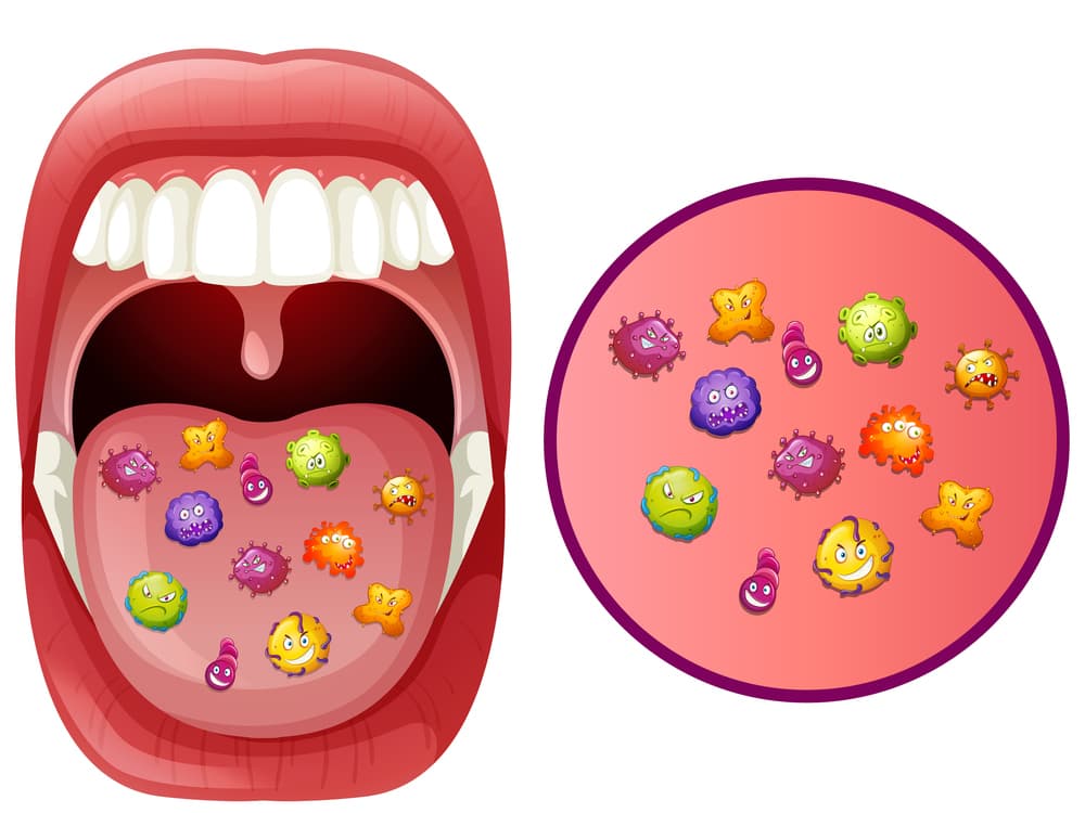 bacteria in mouth