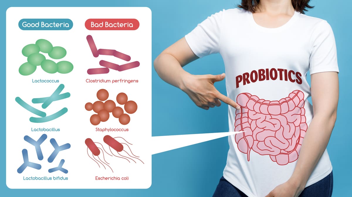 probiotics for constipation singapore