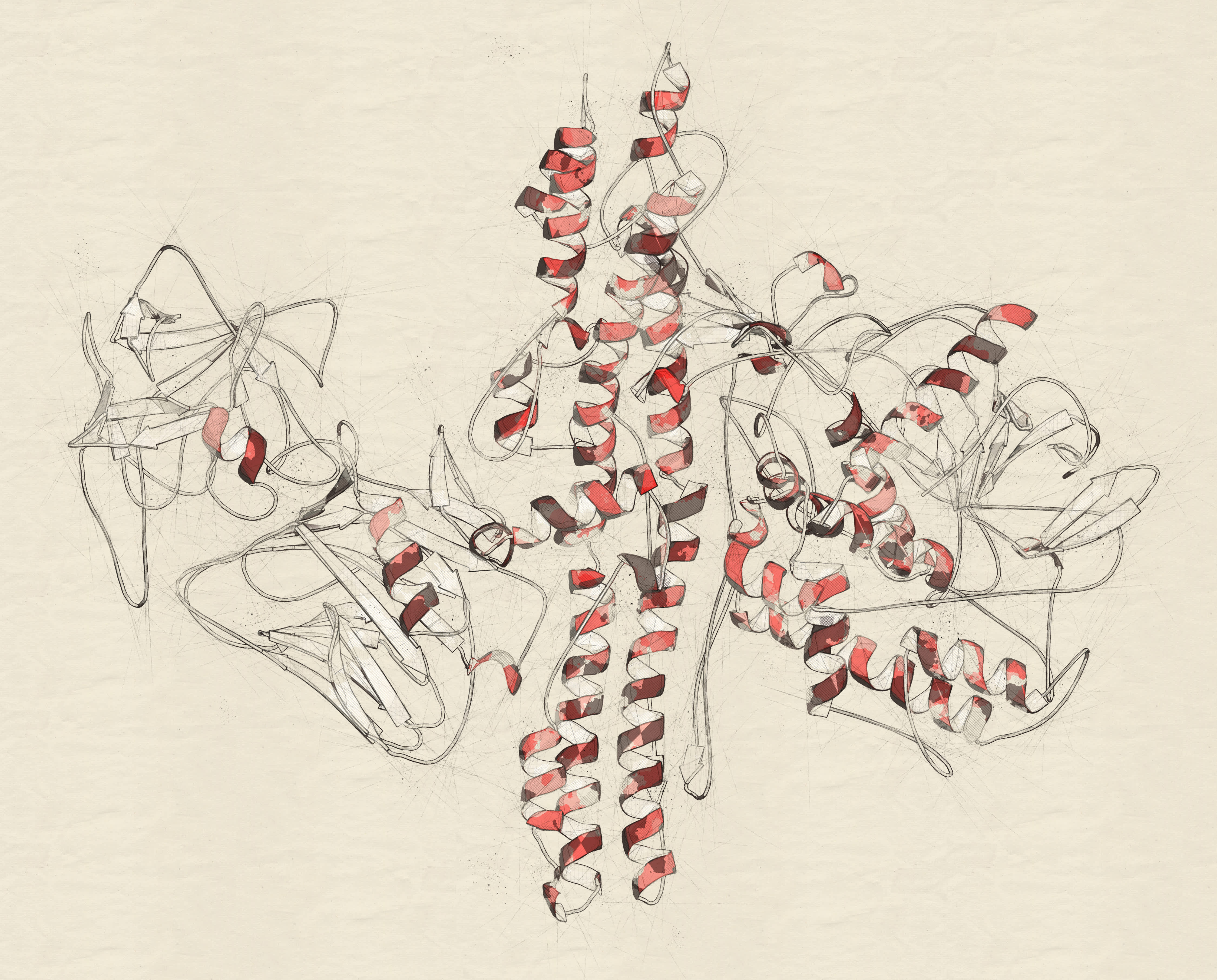 the structure of botulinum toxin