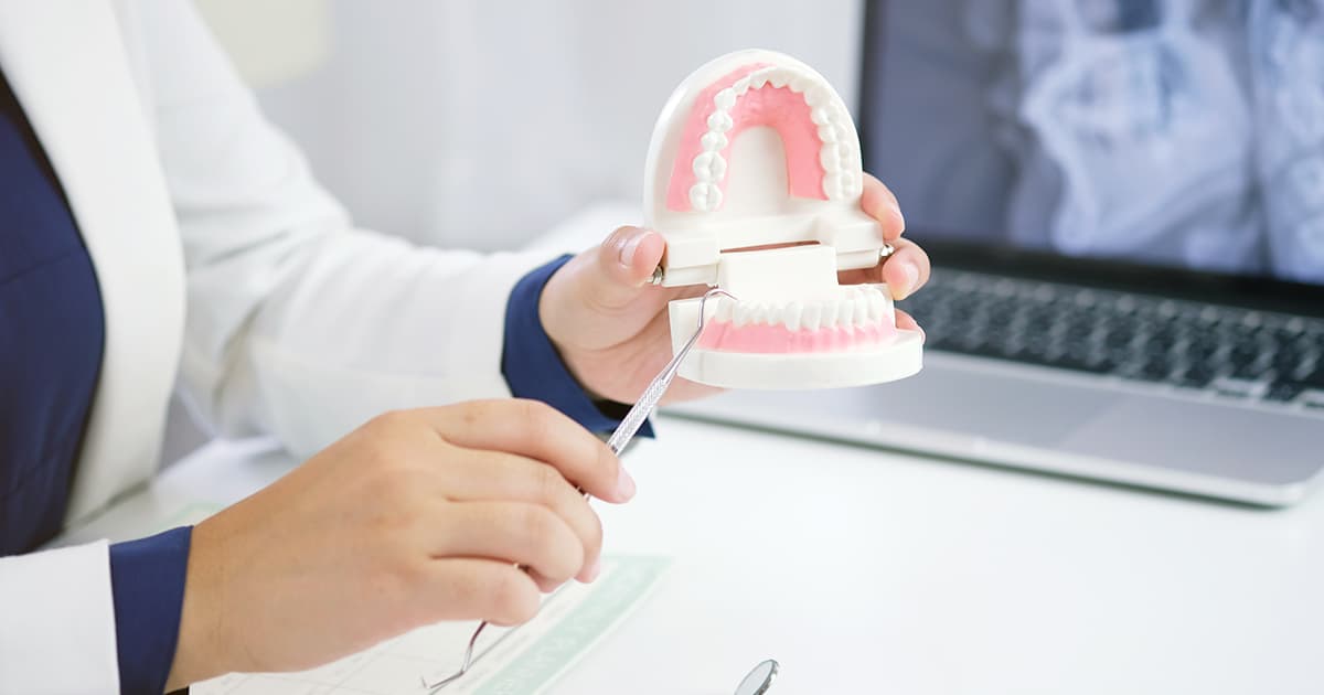 a dentist with a model of teeth