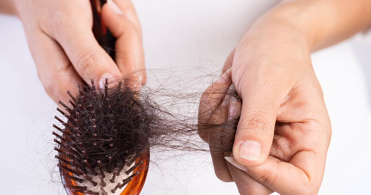 hairbrush with shedded hair